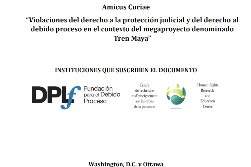 Due Process of Law Foundation (DPLF), una cara más de la interferencia extranjera