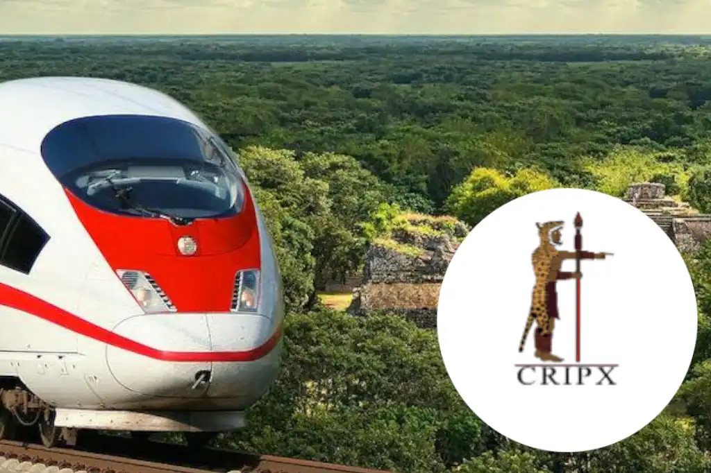 CRIPX, ¿peones de intervencionismo legal?