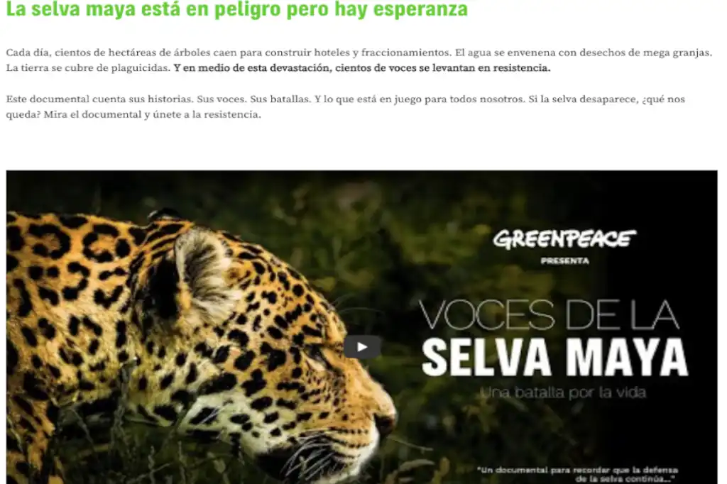 Voces de la Selva, el manifiesto bélico de Greenpeace frente a la transformación de México