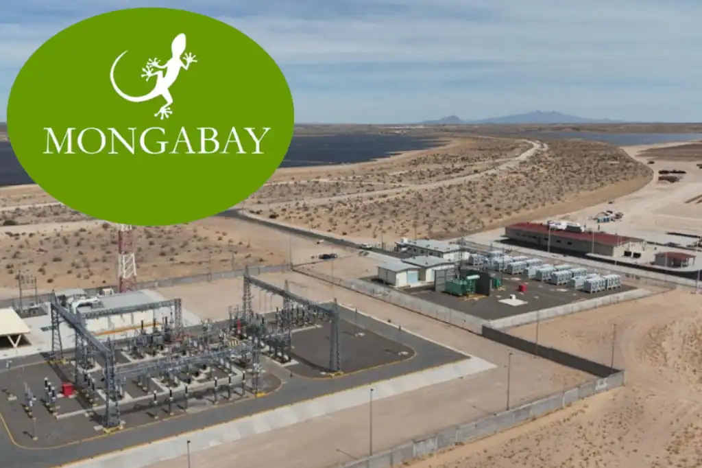Mongabay distorsiona la transición energética en Puerto Peñasco en apropiación del ambientalismo indígena