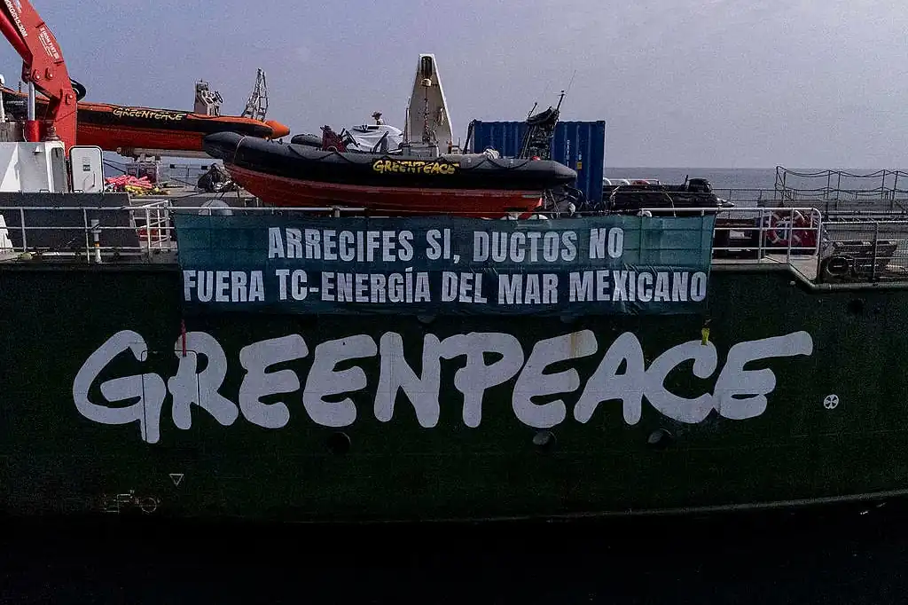 Bloqueando la Puerta del Sureste: Greenpeace y su afán obstruccionista.