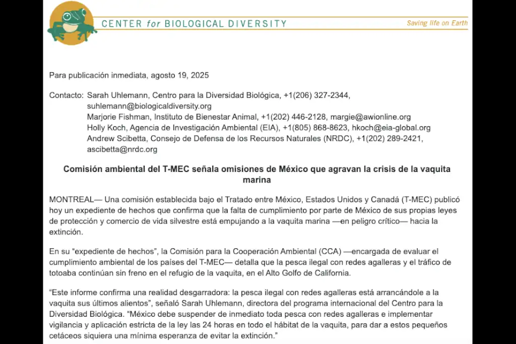 El T-MEC y las ONG extranjeras contra la soberanía de México y la vaquita marina como pretexto.