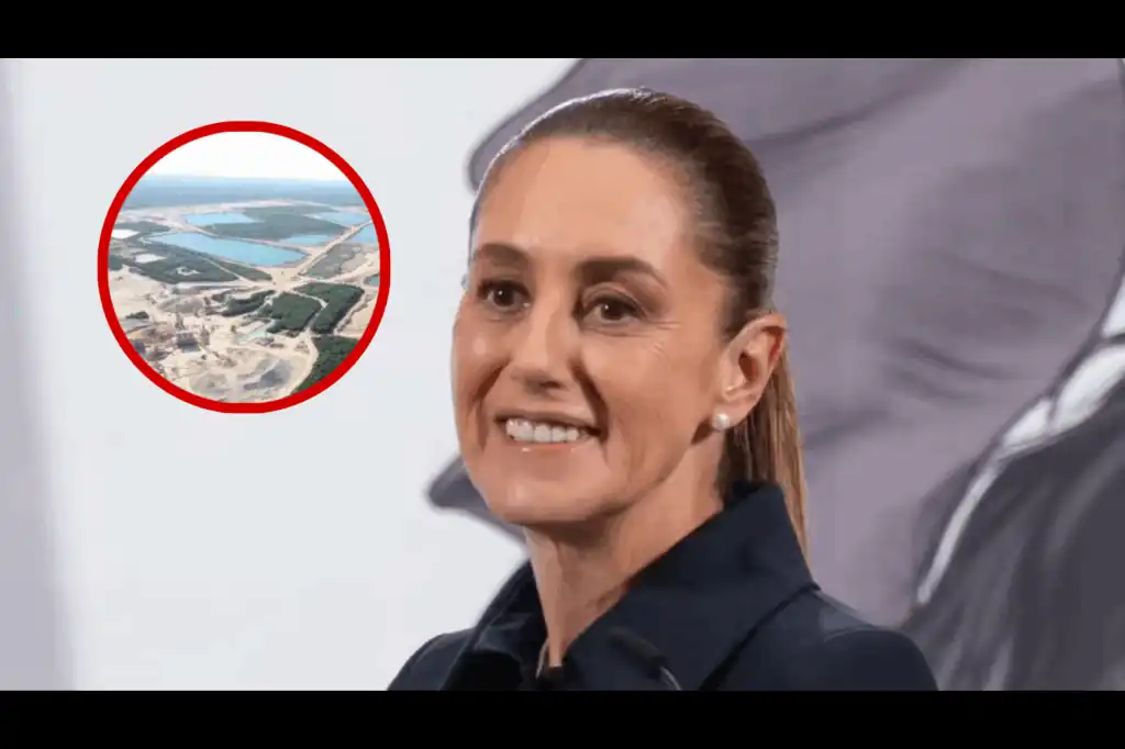 Greenpeace arremete contra Sheinbaum, distorsionando sus declaraciones e insinuando negligencia.