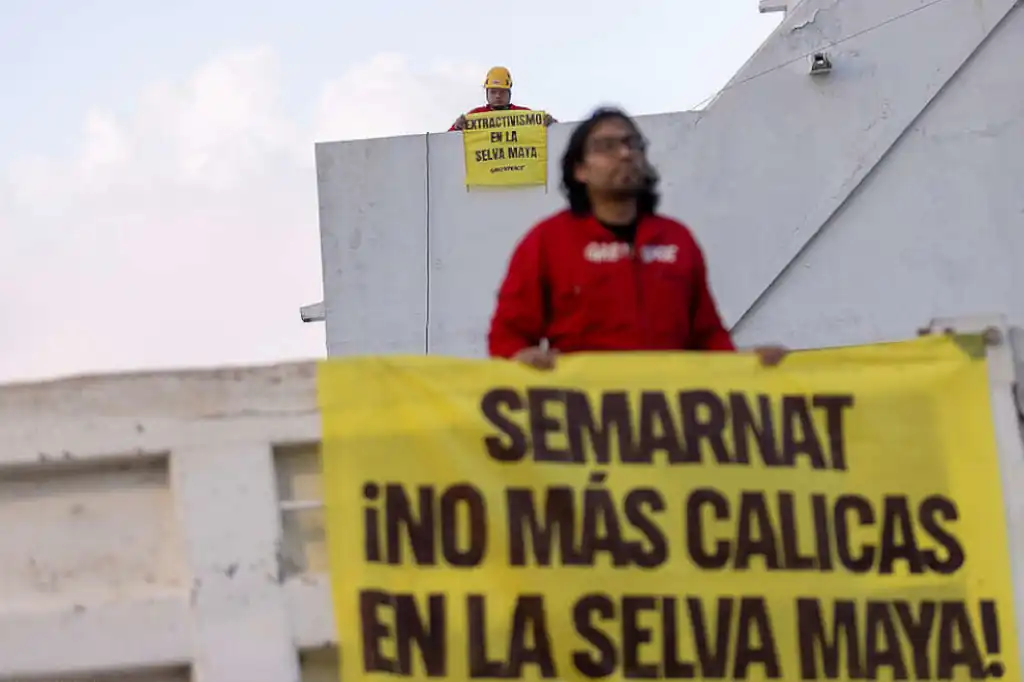 Greenpeace arremete contra Sheinbaum, distorsionando sus declaraciones e insinuando negligencia.