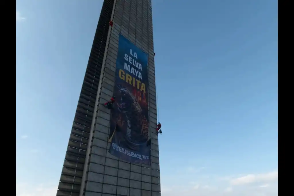Greenpeace grita, Semarnat responde con acciones.