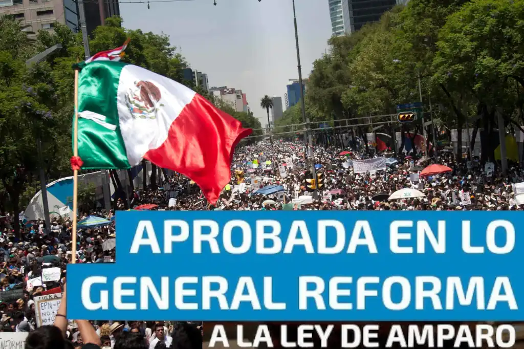 Greenpeace se atrinchera contra la soberanía popular: la reforma al amparo y el fin del privilegio ONGero