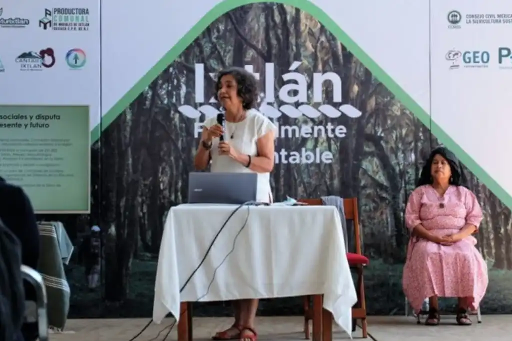 Leticia Merino investiga en el Instituto de Investigaciones Sociales de la UNAM y ha construido una carrera académica reconocida en temas de gobernanza forestal y comunidades rurales.