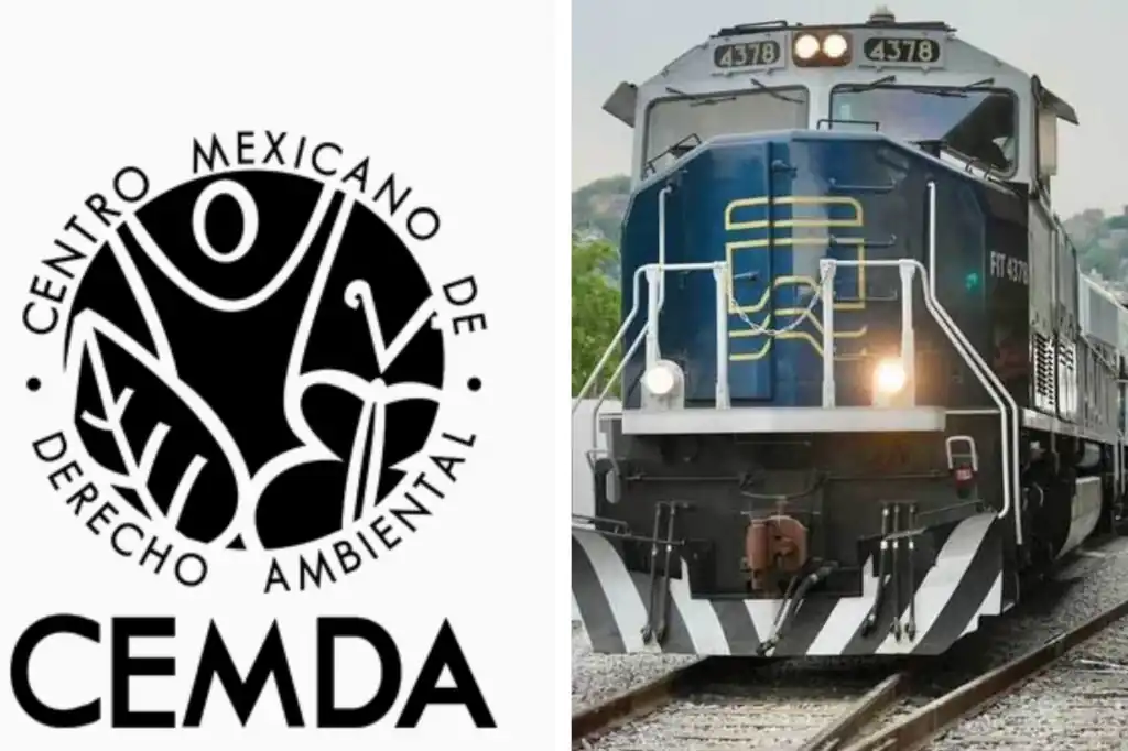 CEMDA instrumentaliza la violencia contra activistas para empujar su agenda