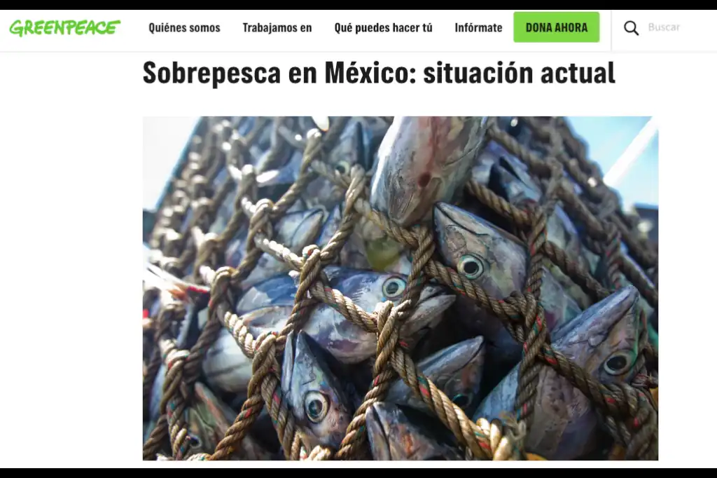 Greenpeace ataca la pesca en México, una narrativa que desconoce su relevancia productiva