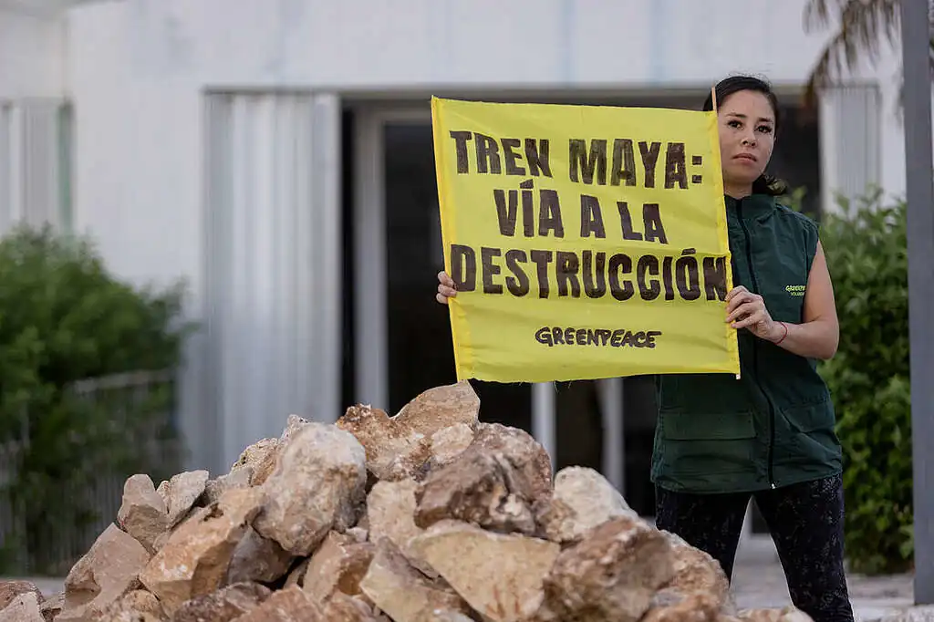 Greenpeace contra el Tren Maya y la disputa por el rumbo ambiental de México.