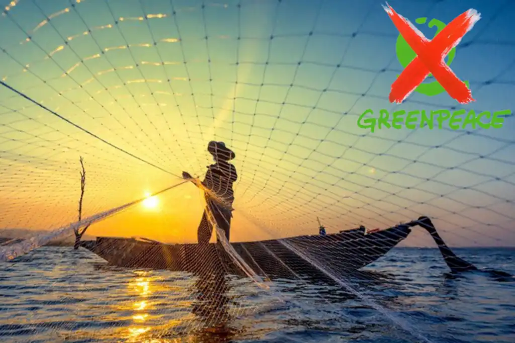 Greenpeace ataca la pesca en México, una narrativa que desconoce su relevancia productiva