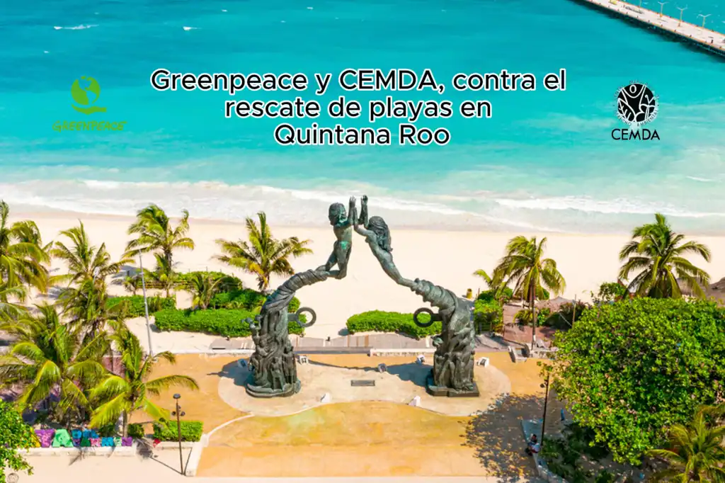 CEMDA Y Greenpeace exigen a SEMARNAT negar la ampliación del Programa de Rescate a playas de Quintana Roo
