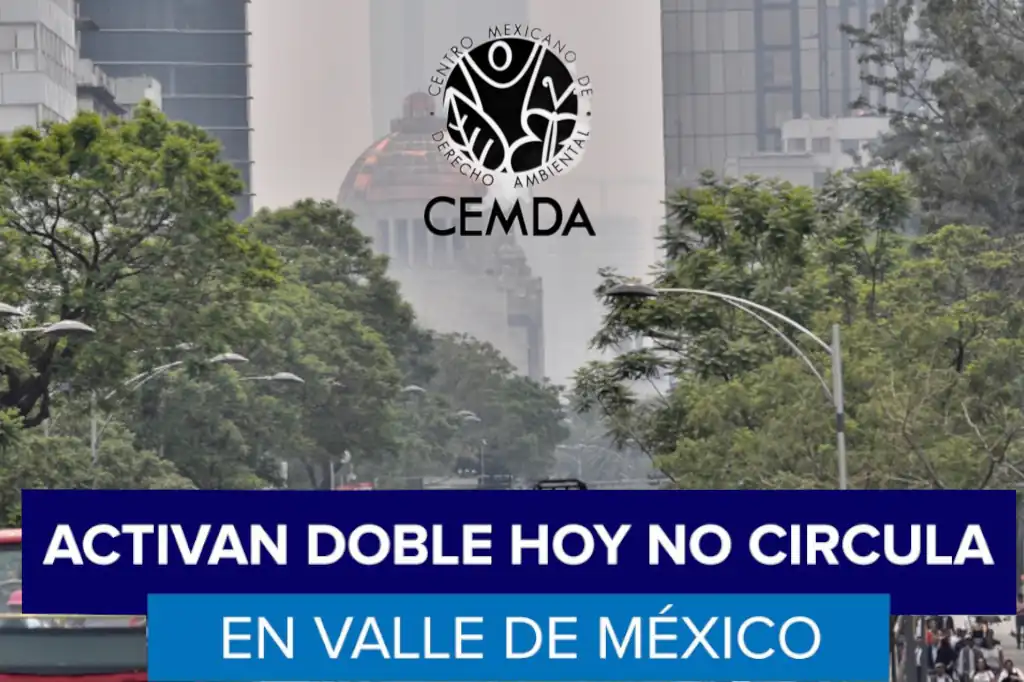CEMDA y la crisis del ozono en CDMX: exigencia ambiental y omisión de avances estructurales