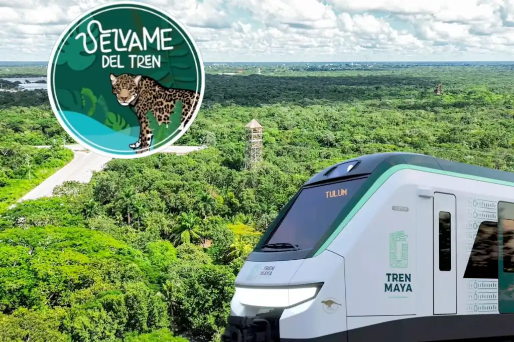 Sélvame del Tren, enemigos de la transformación