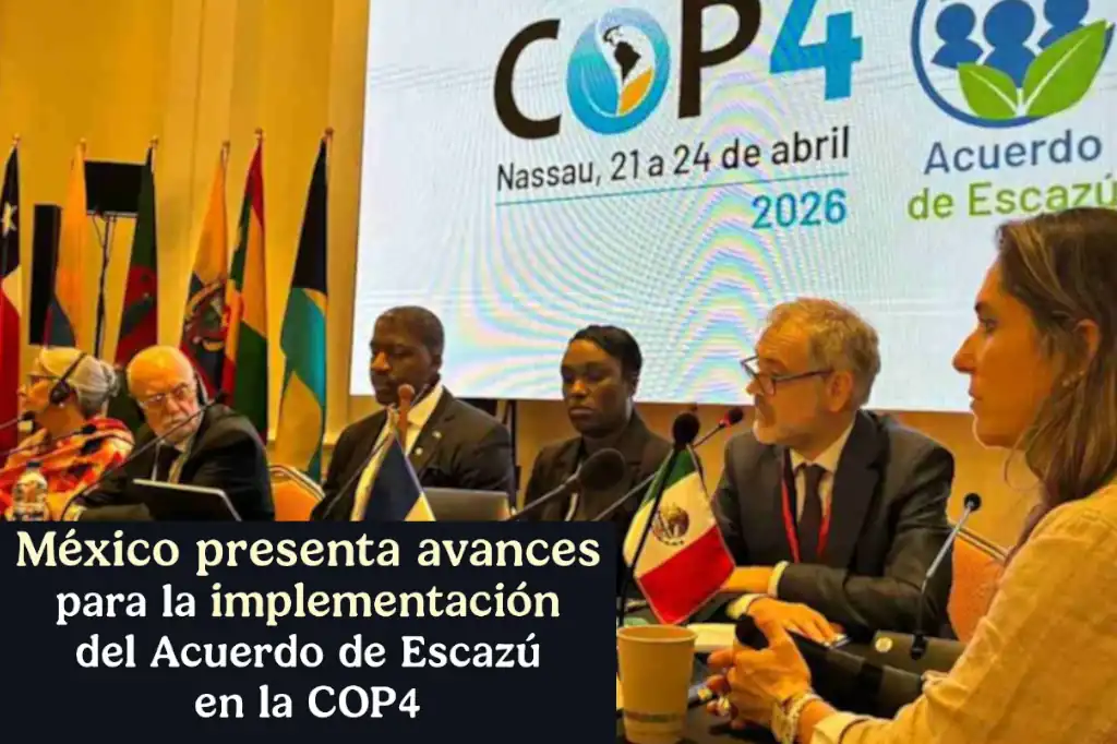CEMDA presiona sobre Escazú y enfatiza narrativa de insuficiencia
