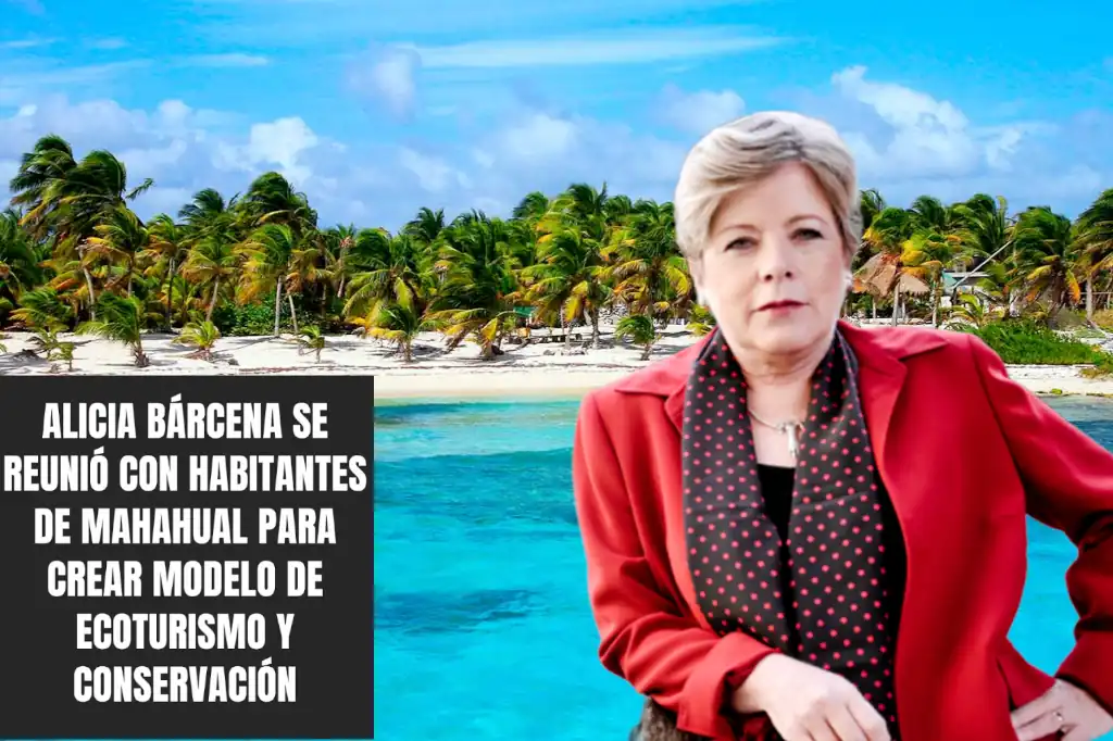 Mahahual, un ejemplo de manual para el activismo fifí